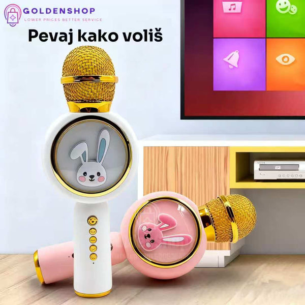 Mikrofon za decu - karaoka mikrofon Zeka
