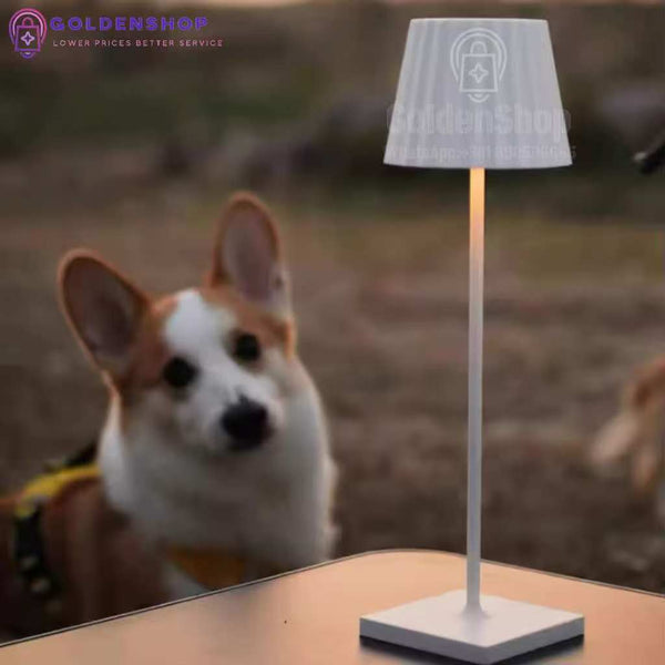 Lampa Stona Bezicna rasveta Dekorativna usb
