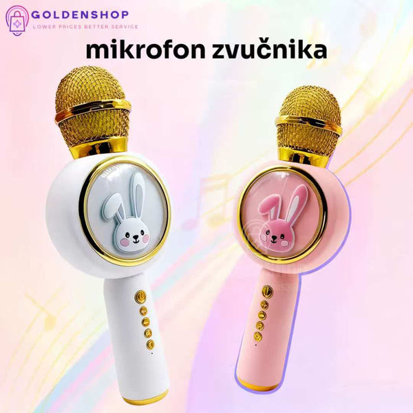 Mikrofon za decu - karaoka mikrofon Zeka