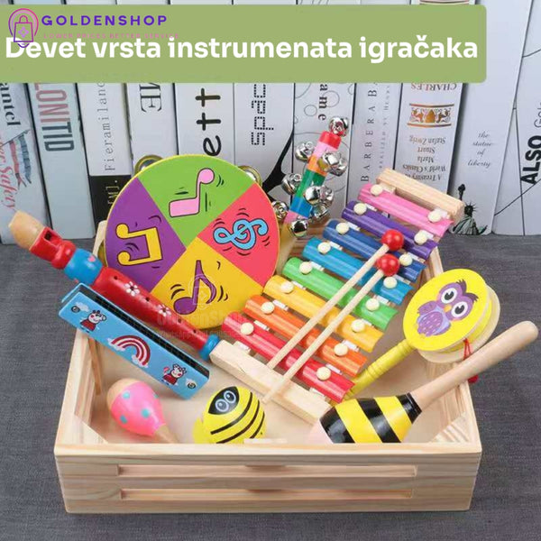 Muzički Instrumenti set Daire, Metalofon, Triangl, Zvečke